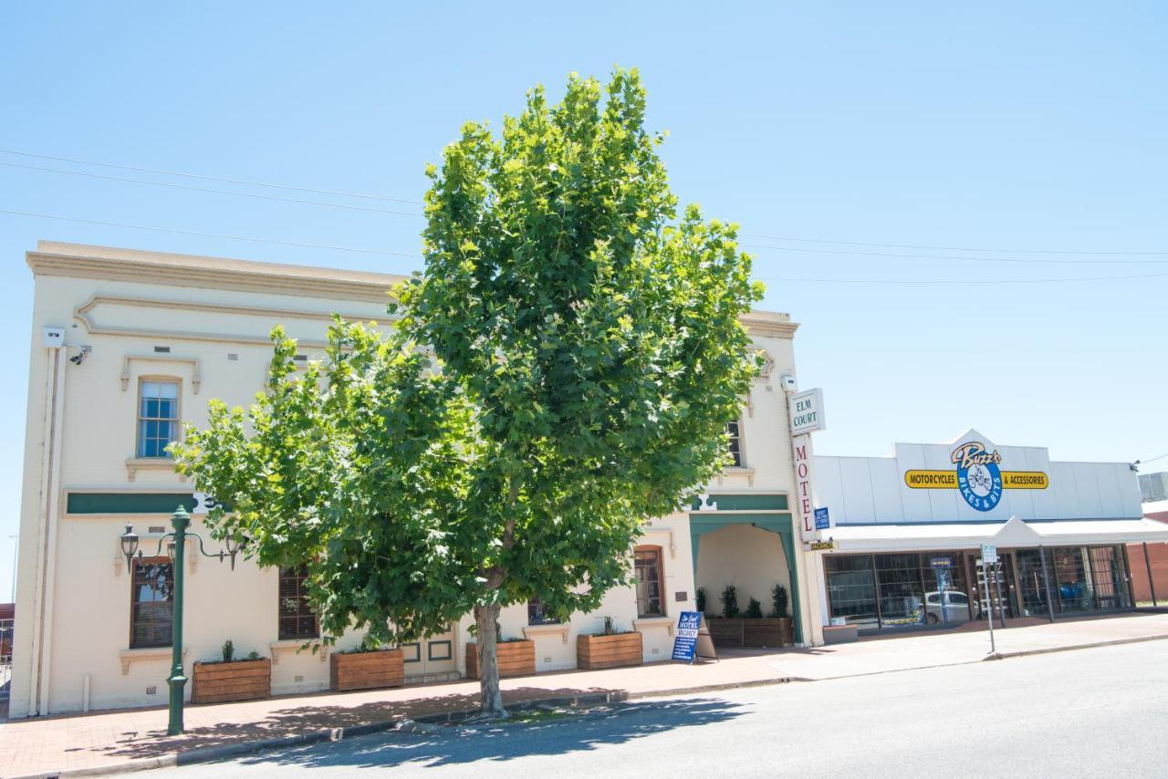 Elm Court Motel Albury Dış mekan fotoğraf