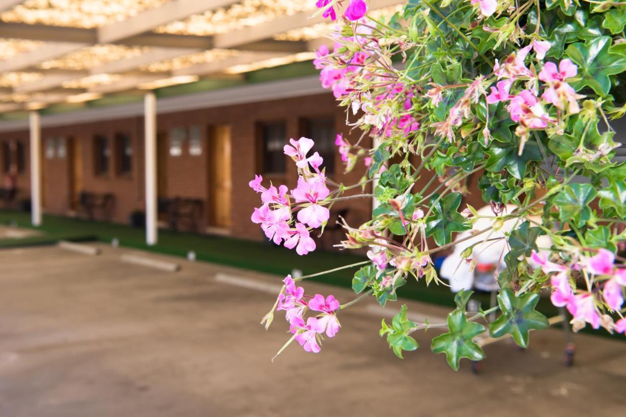 Elm Court Motel Albury Dış mekan fotoğraf