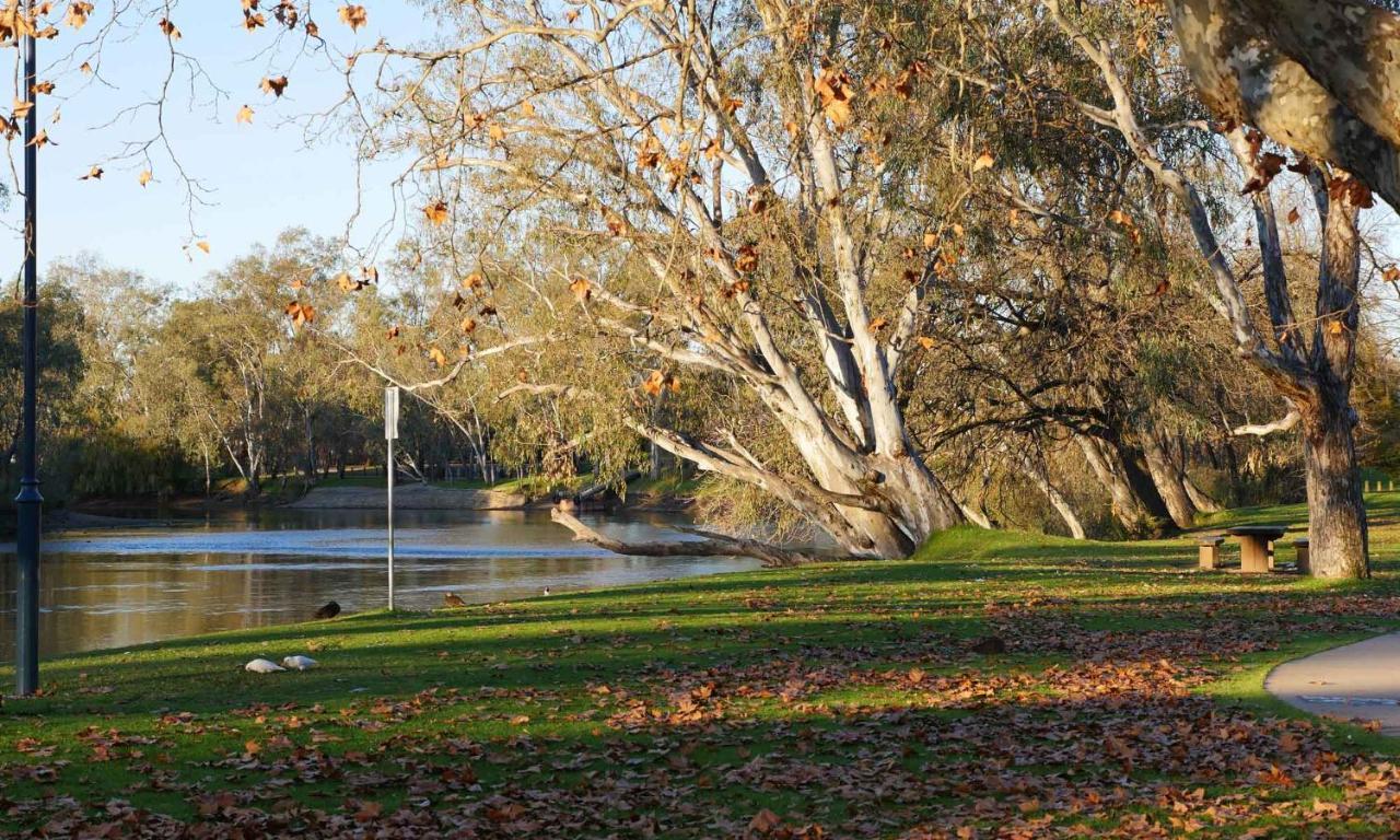 Elm Court Motel Albury Dış mekan fotoğraf