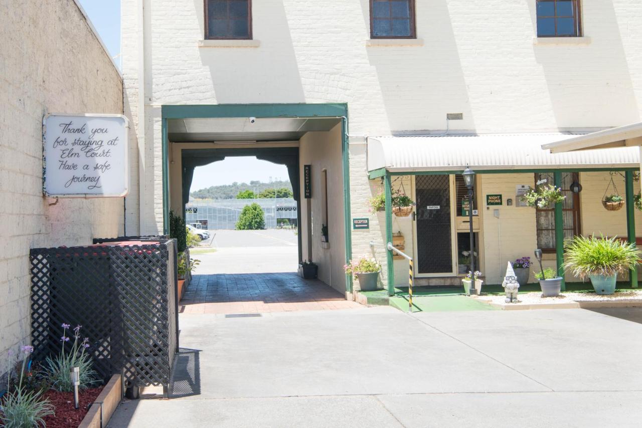 Elm Court Motel Albury Dış mekan fotoğraf