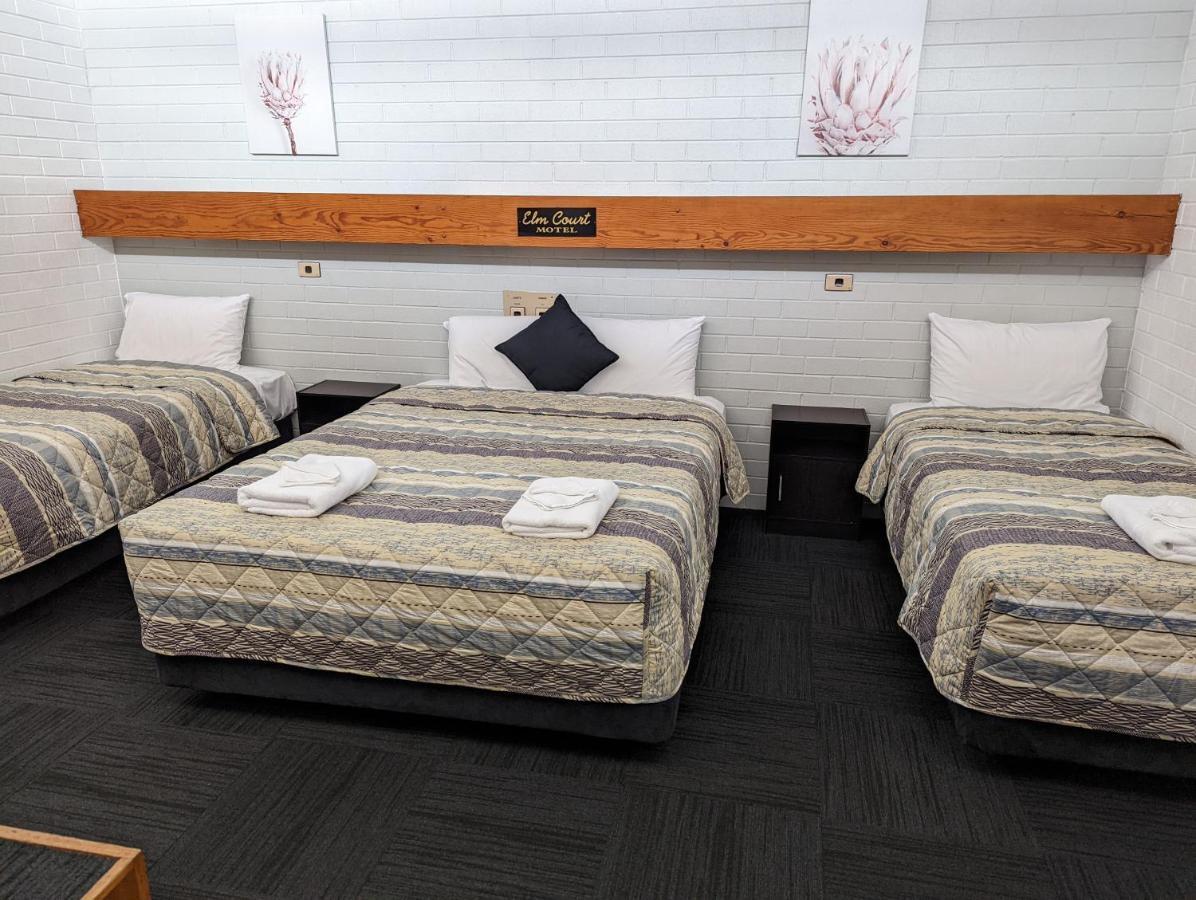 Elm Court Motel Albury Dış mekan fotoğraf